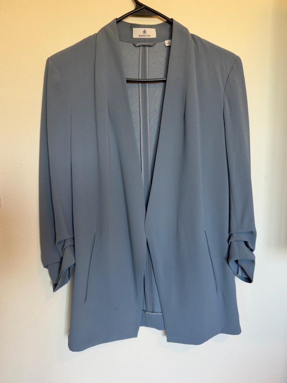 Babaton power blazer